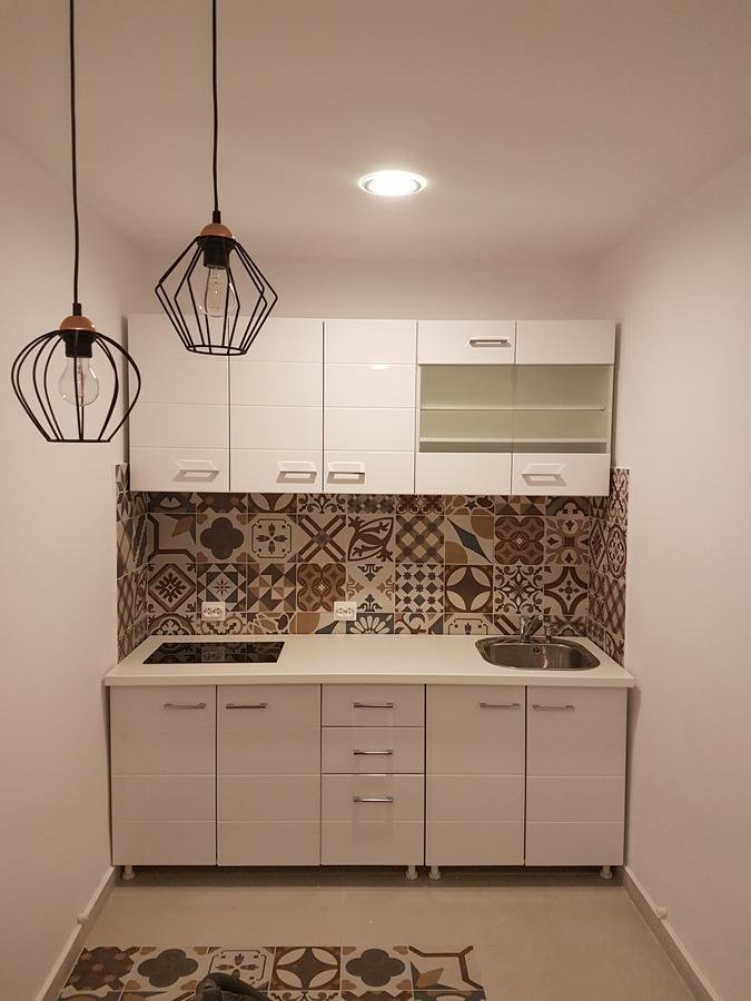 Theo House Apartment Сибиу Екстериор снимка